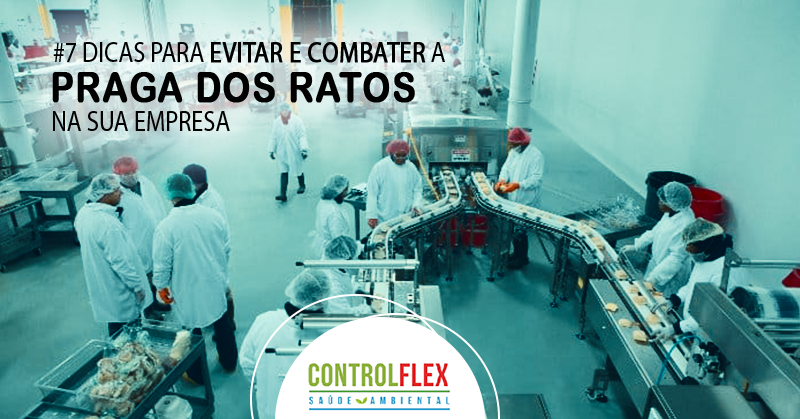 controlflex-combater-ratos
